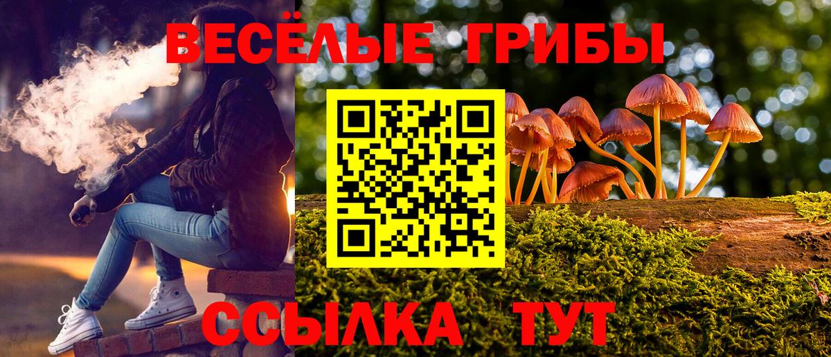Галлюциногенные грибы Magic Shrooms  Вход с VPN  Свободный 