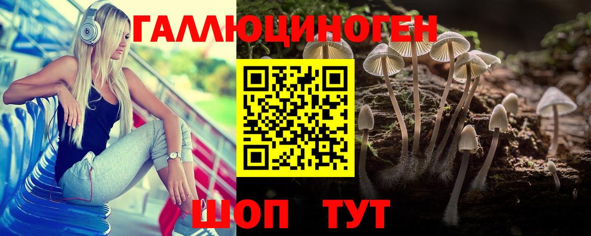 Галлюциногенные грибы Psilocybe Свободный